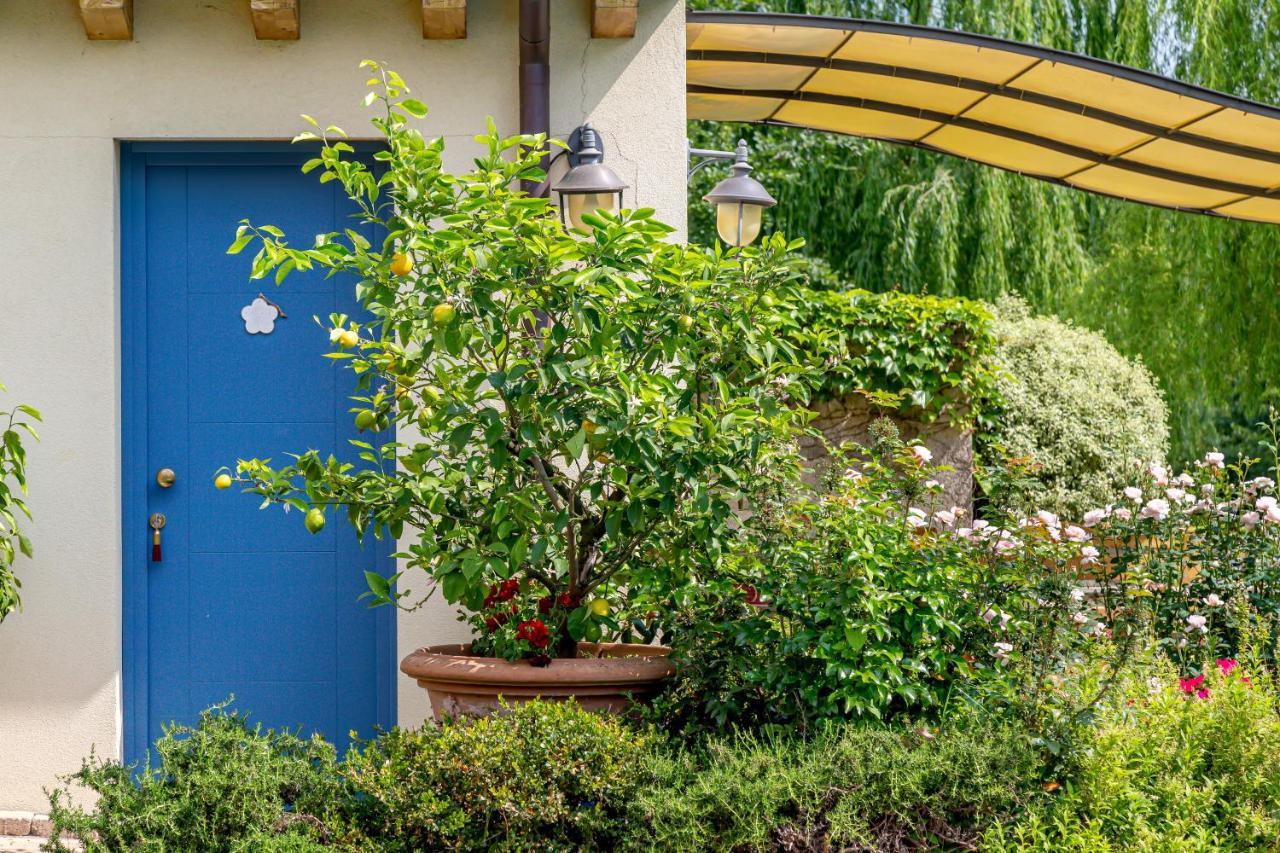 Hotel Calvi-Ristorante Mainor Vittorio Veneto Exterior photo
